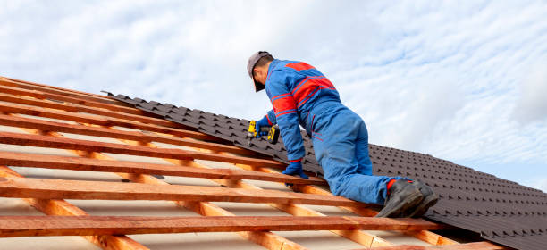 Best Roof Maintenance and Cleaning  in Gibsonville, NC